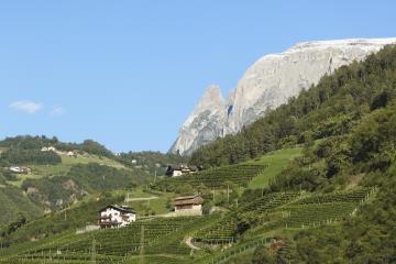 Gump Hof - Markus Prackwieser