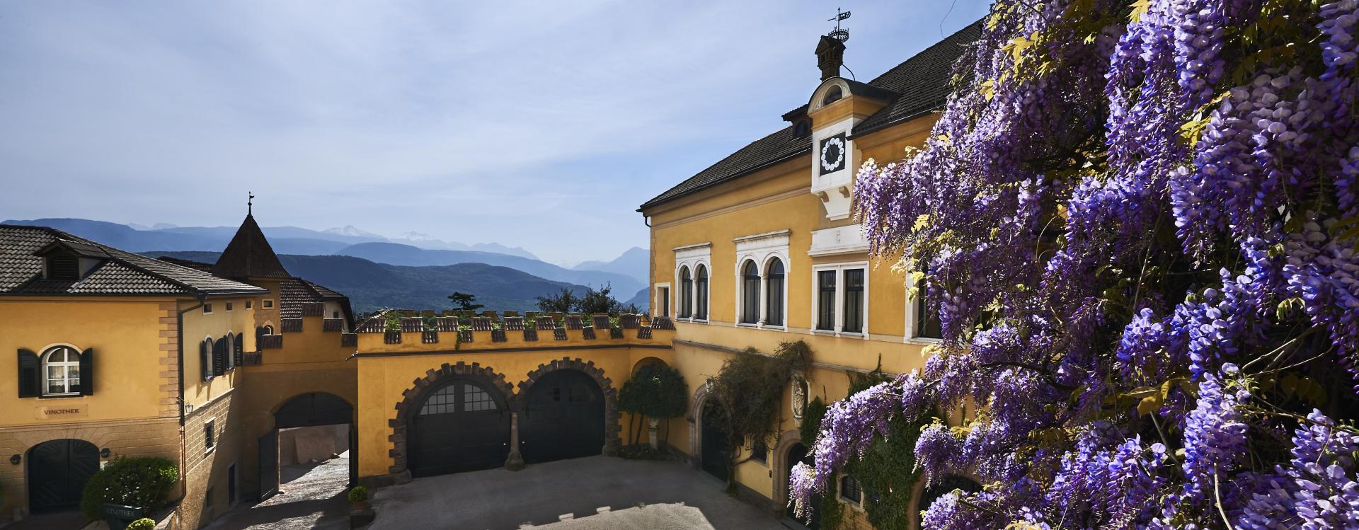 Weingut Castel Sallegg